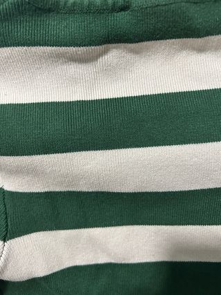 Top Zara Rayas Verde y Blanco Manga Larga