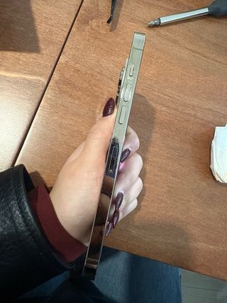 iPhone 14 Pro Max Dorato