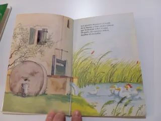 Lote 2 libros infantiles