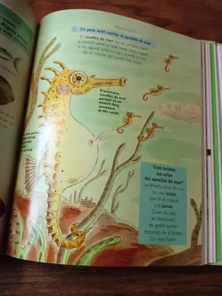 Pack libros para niños en catalán y castellano