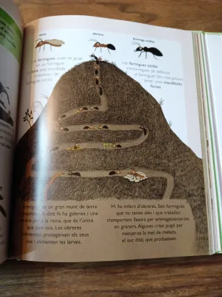 Pack libros para niños en catalán y castellano