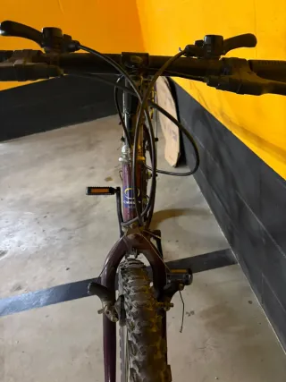 Bicicleta con portaequipajes