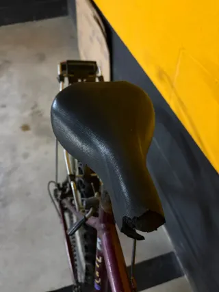 Bicicleta con portaequipajes