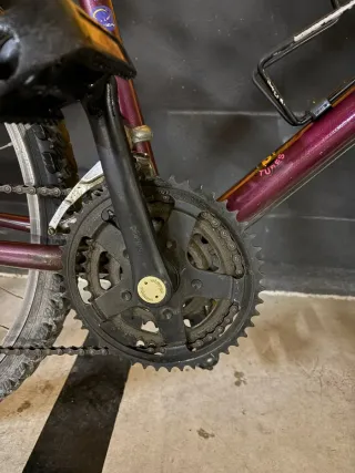 Bicicleta con portaequipajes