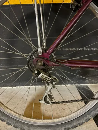 Bicicleta con portaequipajes