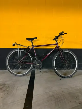 Bicicleta con portaequipajes