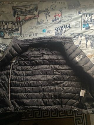 Chaleco The North Face gris