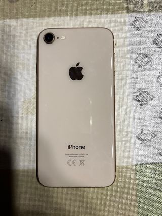 iPhone 8 Caso Curioso