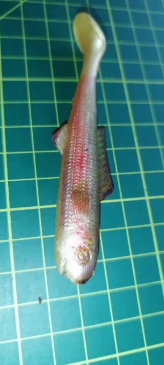 Vinilos de pesca depredadores