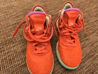 Zapatillas Nike LeBron James Rojas