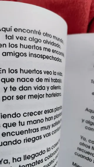 Poesía original y creativa: Sueños e Ilusiones