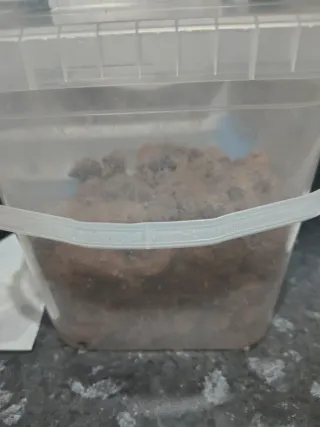 5kg de piedras volcánicas y 2 cajas de brisquetes.