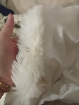 Manta de pelo sintético con estampado