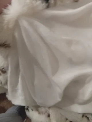 Manta de pelo sintético con estampado