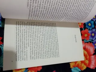 L'incredibile Urka (Italian Edition)