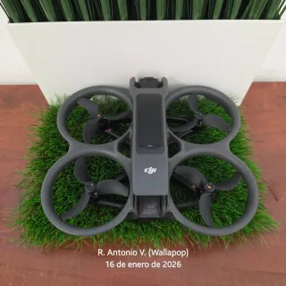 DJI Avata 2 solo drone
