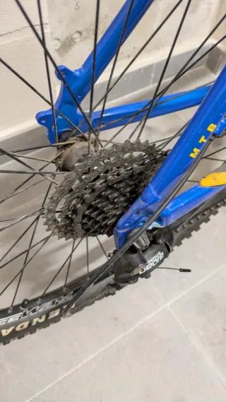 Bicicleta BH Sierra Nevada Montaña