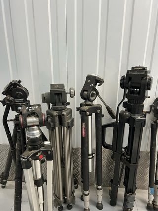 Lote 37 Trípodes Manfrotto