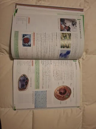 Libro de inglés Natural science. 1 Secondary