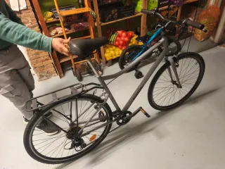 Bicicleta Gris