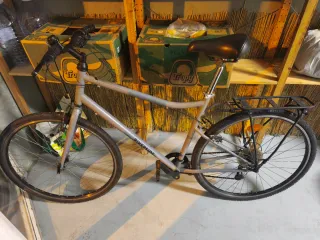 Bicicleta Gris