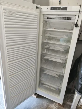 Congelador vertical Whirlpool 160cm