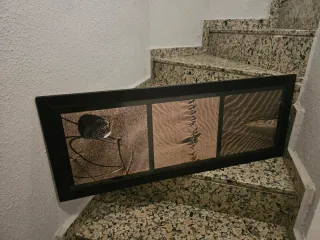 Cuadro de 3 láminas