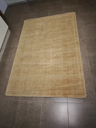Alfombra moderna beige 230x160