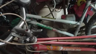 Bicicleta GAGELA-BH Rosa