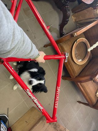 Cuadro Specialized Stumpjumper 1995 Rojo