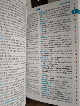 Diccionario Esencial. Lengua española (Spanish ...