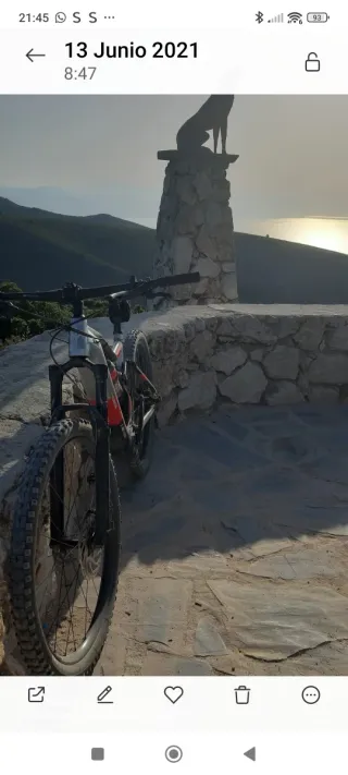 Bicicleta Eléctrica MTB Talla L