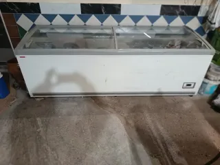 Congelador expositor en buen estado.
