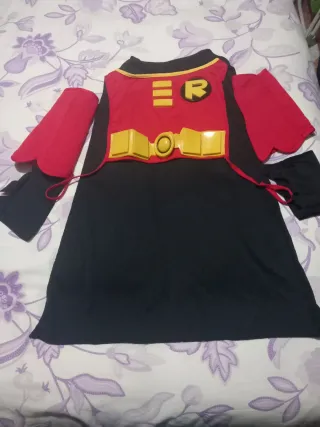 Disfraz Robin Talla Única