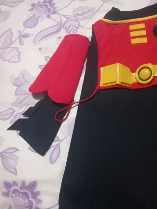 Disfraz Robin Talla Única