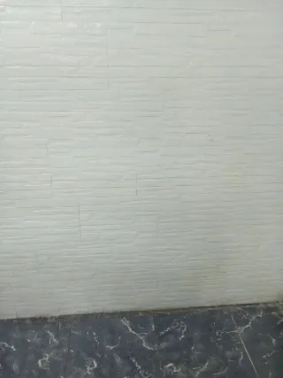 Reformas económica y inmediata