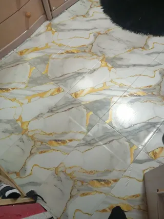 Reformas económica y inmediata