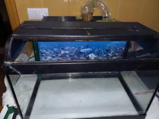 Acuario 40L Completo