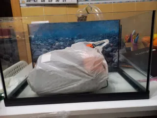 Acuario 40L Completo