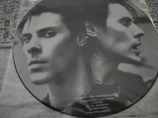 Bauhaus, picture disc. Entrevista con la banda.
