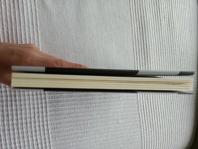 Inteligencias dormidas – Luis Arbea Aranguren