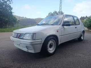 Peugeot 205 rallye 1991