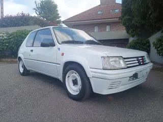 Peugeot 205 rallye 1991