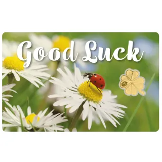 Moneda de Oro 24K Trébol Suerte GOOD LUCK - ÚLTIMA