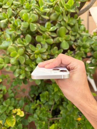 iPhone 13 86% Bateria