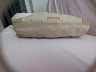 Bolso Adolfo Domínguez Beige/Marrón