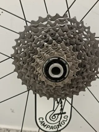 Ruedas Campagnolo Shamal Dual Carbono