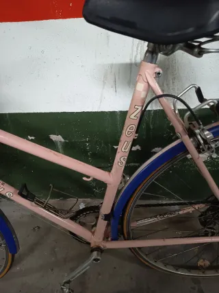 Bicicleta Paseo Zeus Antigua Rosa