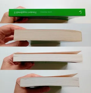 Pensieri vagabondi ll di Luigi Pozzoli