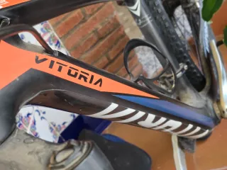 Bicicleta vittoria Sioux 29er Carbono